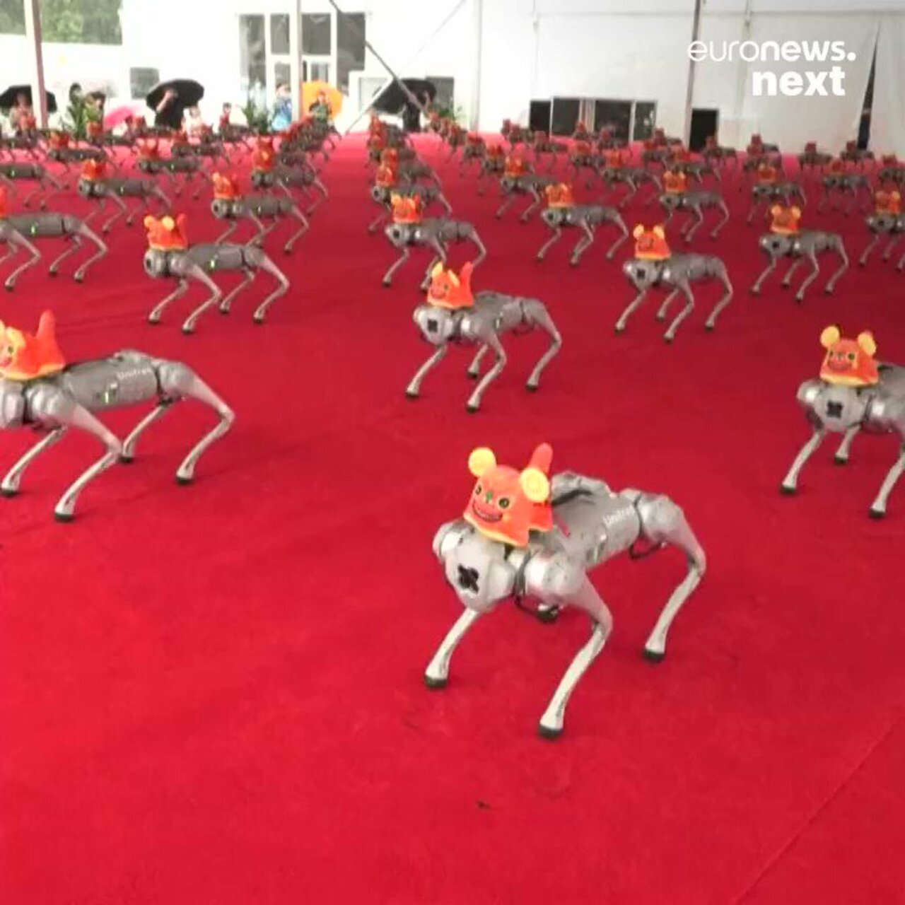 Highlights of the annual World #Robot Conference in Beijing via @euronewsnext #AI #ArtificialIntelligence #MI #Robotics #Engineering #Innovation #FutureOfWork #Tech #Technology cc: @terenceleungsf @jamesmarland @wil_bielert @ronald_vanloon https://t.co/EfbTdzzpDE