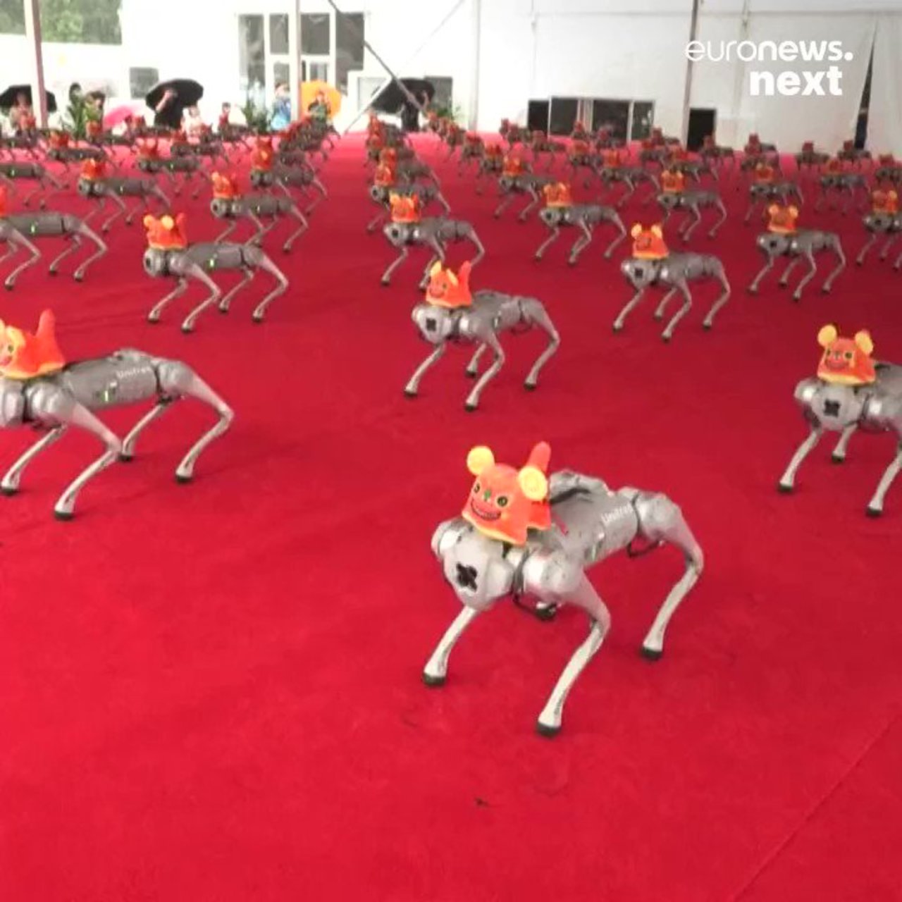 Highlights of the annual World #Robot Conference in Beijing by @euronewsnext #AI #ArtificialIntelligence #MI #Robotics #Engineering #Innovation #FutureOfWork #Tech #Technology cc: @terenceleungsf @wil_bielert @ronald_vanloon https://t.co/BOlLiPqUp7