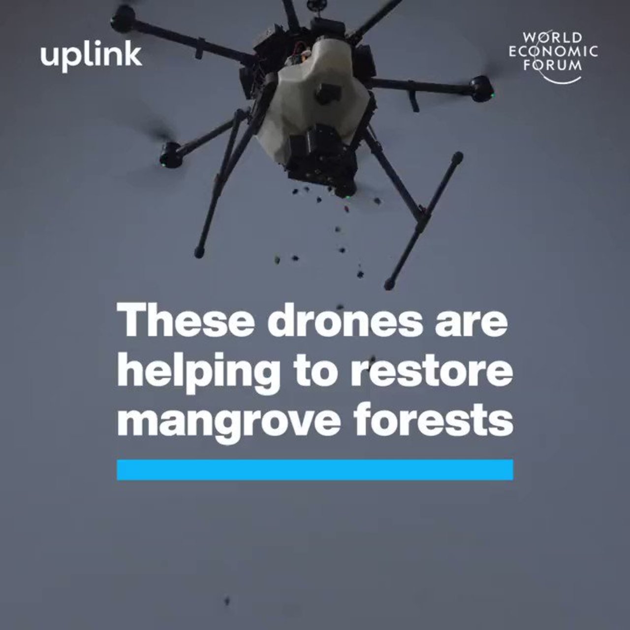 These #Drones are helping to restore mangrove forests by @wef #MachineLearning #AI #ArtificialIntelligence #Sustainability #Innovation #Tech #Technology cc: @maxjcm @ronald_vanloon @pascal_bornet @marcusborba https://t.co/mOaaqAfgT2