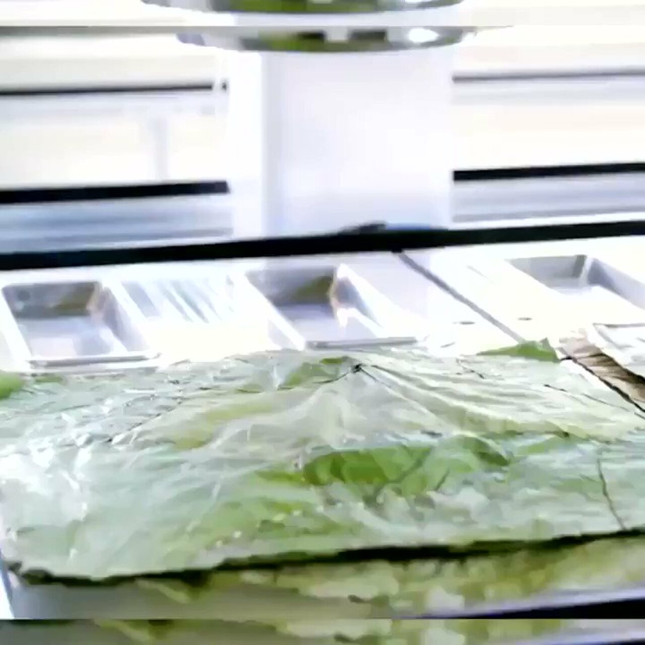 The biodegradable plates are designed to reduce plastic waste by @cheddar #Tech #Technology #Innovation #Business #Influencer #IT Cc: @enricomolinari @evankirstel @pierrepinna @helene_wpli https://t.co/Dft6mWxUZF