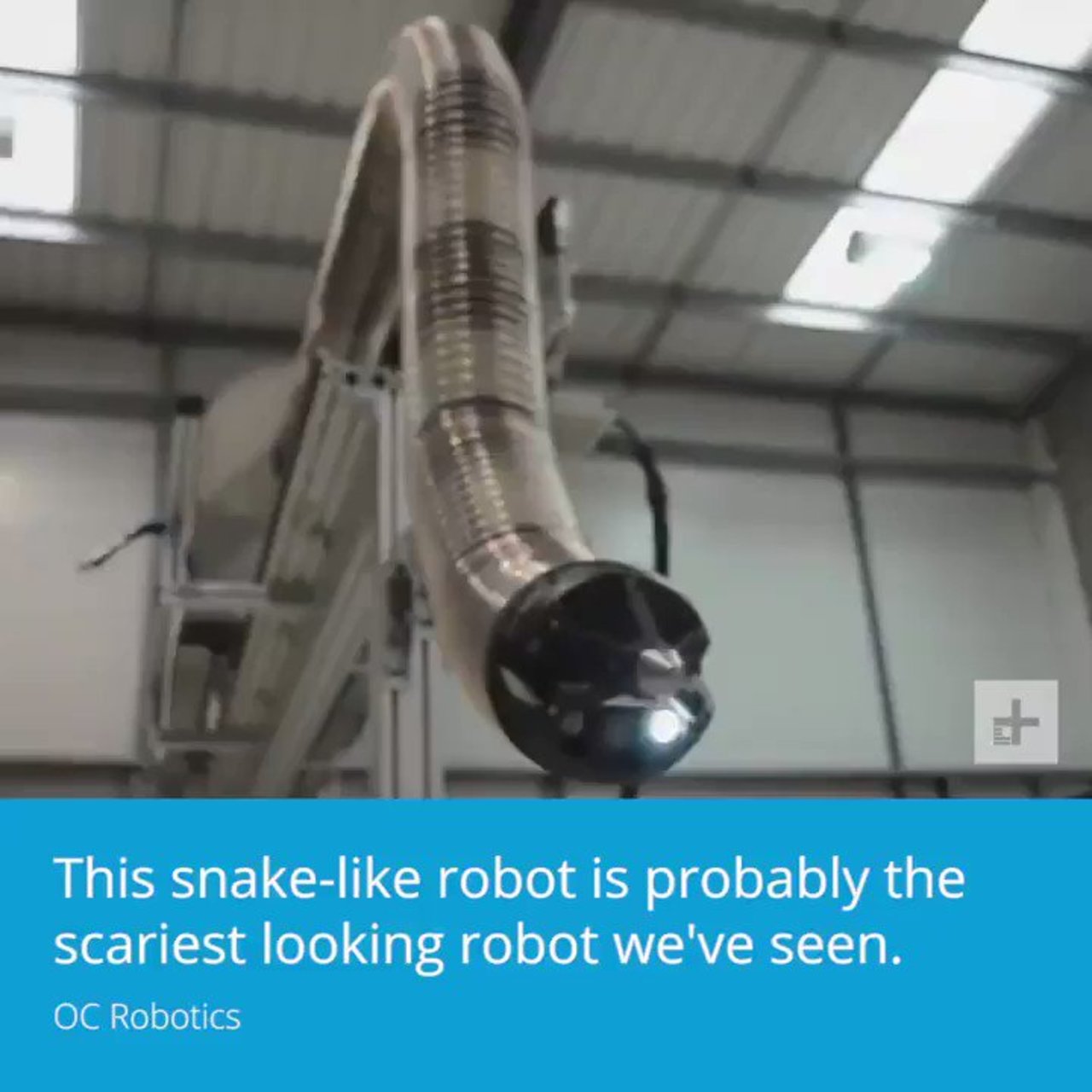 This snake-like #Robot probably the scariest looking robot we've seen by @DigitalTrends #MI #Robotics #AI #Tech #Innovation #EmergingTech Cc: @pawlowskimario @enricomolinari https://t.co/D5dLN4mpfD
