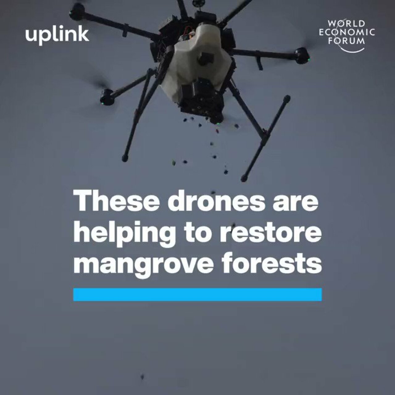 These #Drones are helping to restore mangrove forests by @wef #MachineLearning #AI #ArtificialIntelligence #Sustainability #Innovation #Tech #Technology cc: @maxjcm @ronald_vanloon @pascal_bornet @marcusborba https://t.co/o0JQuOzvq2
