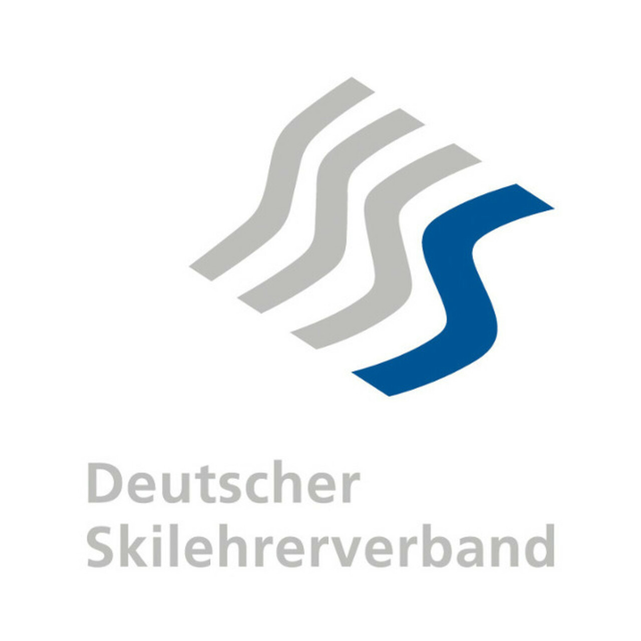Deutscher Skilehrer Verband