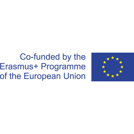 EC co-funded Logo