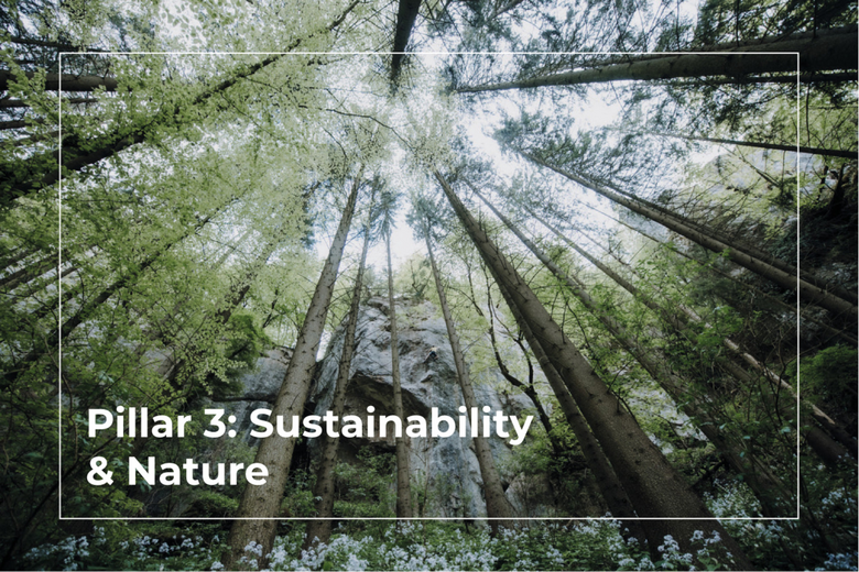3. Sustainability & Nature